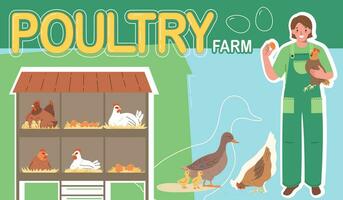 Poultry Farm Flat Collage vector