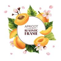 Apricot Round Frame Composition vector