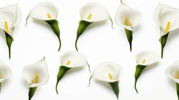 Calla Lily flower pattern background. Flower background texture. Generative AI photo