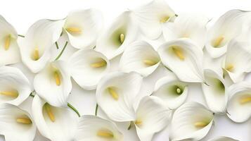 Calla Lily flower pattern background. Flower background texture. Generative AI photo