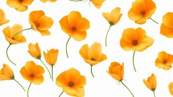 California Poppy flower pattern background. Flower background texture. Generative AI photo