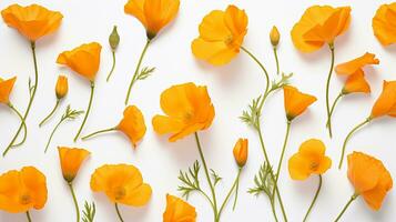 California Poppy flower pattern background. Flower background texture. Generative AI photo