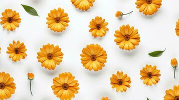 Calendula flower pattern background. Flower background texture. Generative AI photo