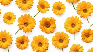 Calendula flower pattern background. Flower background texture. Generative AI photo