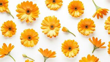 Calendula flower pattern background. Flower background texture. Generative AI photo