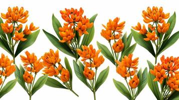 Butterfly Weed flower pattern background. Flower background texture. Generative AI photo