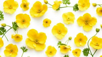 Buttercup flower flower pattern background. Flower background texture. Generative AI photo