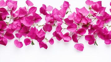 Bougainvillea flower pattern background. Flower background texture. Generative AI photo