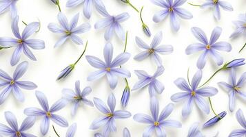Blue Eyed Grass flower pattern background. Flower background texture. Generative AI photo