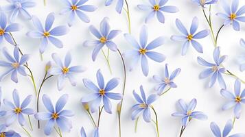 Blue Eyed Grass flower pattern background. Flower background texture. Generative AI photo