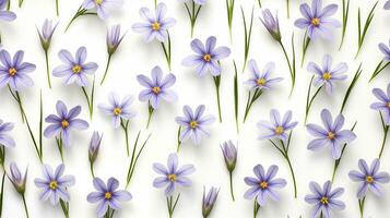 Blue Eyed Grass flower pattern background. Flower background texture. Generative AI photo