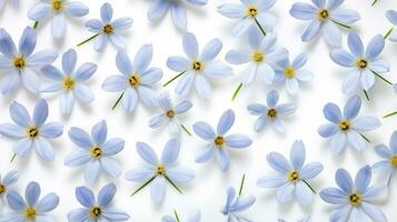 Blue Eyed Grass flower pattern background. Flower background texture. Generative AI photo
