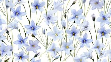 Blue Eyed Grass flower pattern background. Flower background texture. Generative AI photo