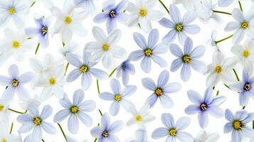 Blue Eyed Grass flower pattern background. Flower background texture. Generative AI photo