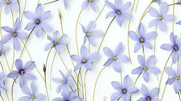 Blue Eyed Grass flower pattern background. Flower background texture. Generative AI photo