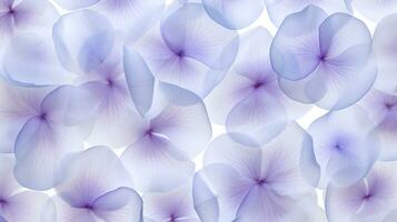 Balloon Flower flower pattern background. Flower background texture. Generative AI photo