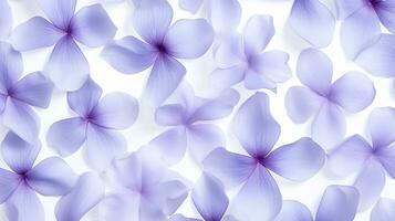 Balloon Flower flower pattern background. Flower background texture. Generative AI photo