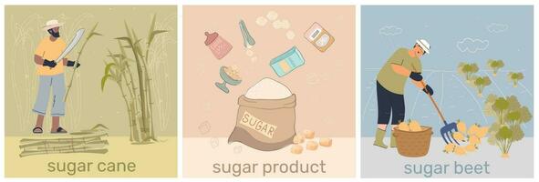 Sugar Production Square Compositions vector
