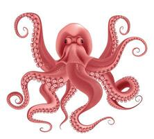 Red Octopus Realistic Object vector