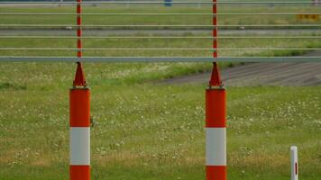 Visão do a aeroporto aeródromo. selvagem lebre em a aeródromo. animal em a pista video