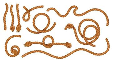 Curved Pieces Of Natural Jute Cords vector