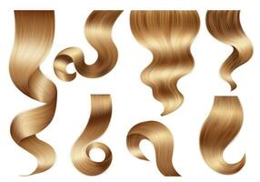 Realistic Hair Curls Set vector