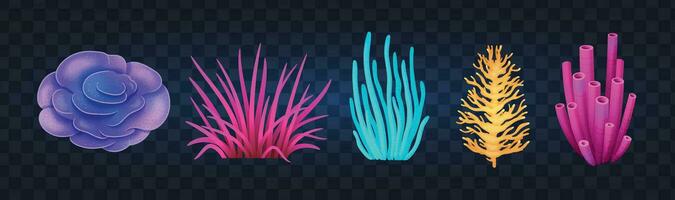 Coral Reef Set vector