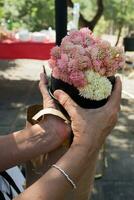Caucasian hands holding a vase with flowers photo