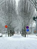 Snow is cold but beautiful photo