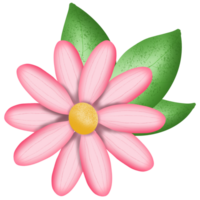 flor con hojas png