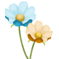 cosmos flor 1 png