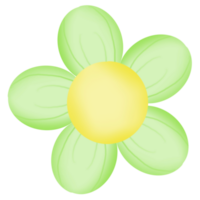 Colorful little daisy png