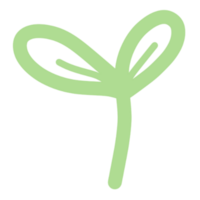 Leaf tree icon plant png
