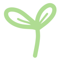 hoja árbol icono planta png