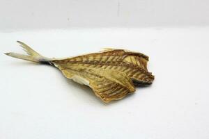 Dried fish on a white background. Close-up of dried fish. photo