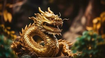 Chinese background with dragon photo