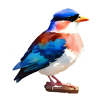 Watercolor Cute Bird png