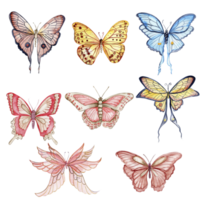 acquerello colorato farfalla impostato png