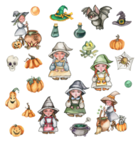 A set of little witch in hat, pumpkins,skull, frog. png