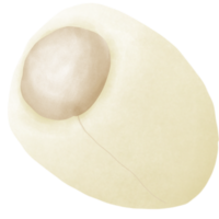 Lotus seed inside the shower png