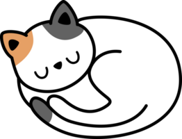 gato enrolado acima dormindo plano estilo rabisco desenho animado elemento png