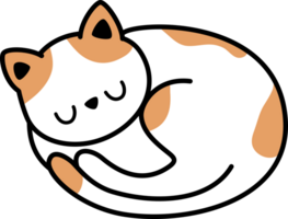 orange spotted cat curled up sleeping flat style doodle cartoon element png