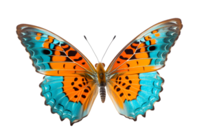 magnifique Couleur papillon isolé sur une transparent Contexte png