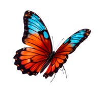 hermosa color mariposa aislado en un transparente antecedentes png