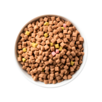 asciutto cane cibo nel un' ciotola, superiore Visualizza isolato su un' trasparente sfondo png