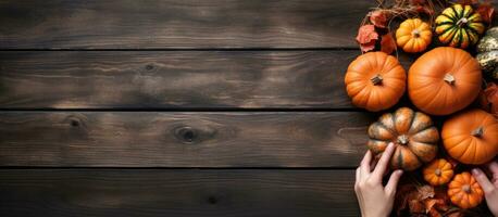 Female caucasian hands revealing pumpkin for Halloween decoration photo