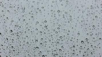 lleno hd vídeo de lluvia gotas en el ventana video