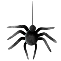 schwarz Spinne Symbol. png