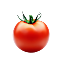 Tomatoes isolated on transparent background with empty space around it AI Generated png