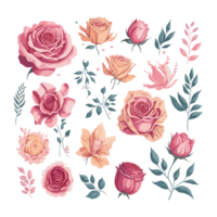 ensemble de main tiré des roses et feuilles ai génératif illustration dans dessin animé style. png